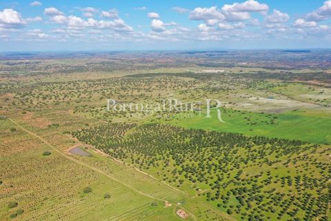 Landejendom i Mertola, Beja, Mertola - € 10.000.000 | Ref: ML127 - foto 29