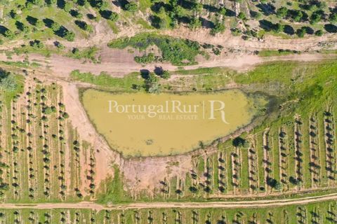 Landejendom i Mertola, Beja, Mertola - € 10.000.000 | Ref: ML127 - foto 30
