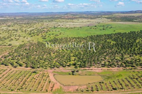 Landejendom i Mertola, Beja, Mertola - € 10.000.000 | Ref: ML127 - foto 31