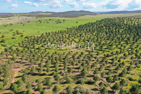 Landejendom i Mertola, Beja, Mertola - € 10.000.000 | Ref: ML127 - foto 32