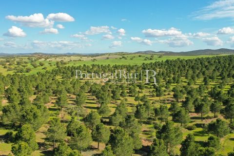 Landejendom i Mertola, Beja, Mertola - € 10.000.000 | Ref: ML127 - foto 34
