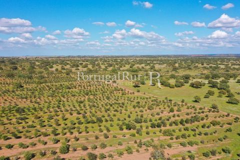 Landejendom i Mertola, Beja, Mertola - € 10.000.000 | Ref: ML127 - foto 35