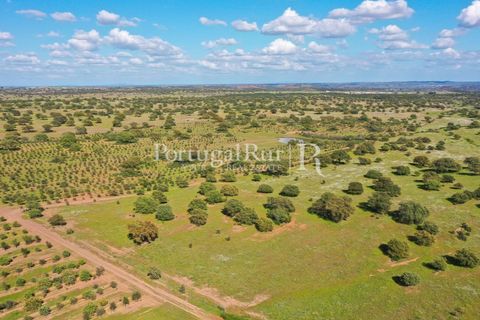 Landejendom i Mertola, Beja, Mertola - € 10.000.000 | Ref: ML127 - foto 36