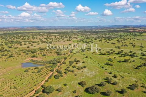 Landejendom i Mertola, Beja, Mertola - € 10.000.000 | Ref: ML127 - foto 37
