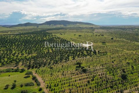Landejendom i Mertola, Beja, Mertola - € 10.000.000 | Ref: ML127 - foto 38