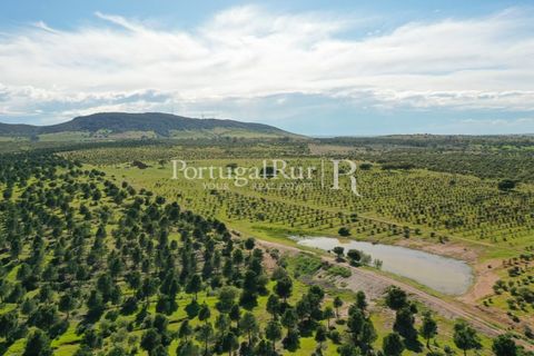 Landejendom i Mertola, Beja, Mertola - € 10.000.000 | Ref: ML127 - foto 39