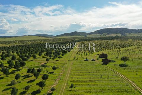 Landejendom i Mertola, Beja, Mertola - € 10.000.000 | Ref: ML127 - foto 40