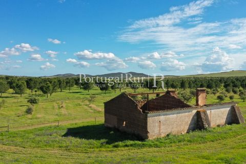 Landejendom i Mertola, Beja, Mertola - € 10.000.000 | Ref: ML127 - foto 43