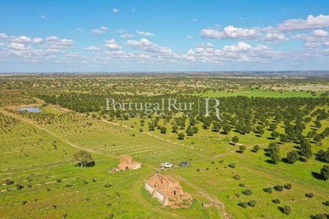 Landejendom i Mertola, Beja, Mertola - € 10.000.000 | Ref: ML127 - foto 44