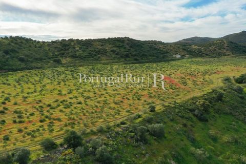 Landejendom i Mertola, Beja, Mertola - € 10.000.000 | Ref: ML127 - foto 46