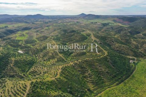 Landejendom i Mertola, Beja, Mertola - € 10.000.000 | Ref: ML127 - foto 47