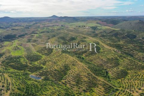 Landejendom i Mertola, Beja, Mertola - € 10.000.000 | Ref: ML127 - foto 48