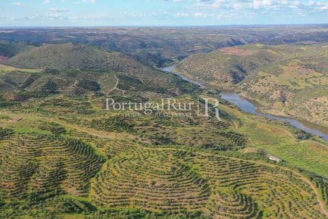 Landejendom i Mertola, Beja, Mertola - € 10.000.000 | Ref: ML127 - foto 49