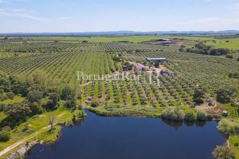 Landejendom i Fronteira, Portalegre, Fronteira - € 999.000 | Ref: FG792 - foto 2