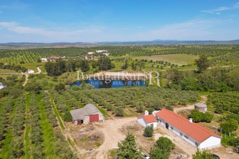 Landejendom i Fronteira, Portalegre, Fronteira - € 999.000 | Ref: FG792 - foto 3
