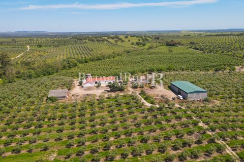 Landejendom i Fronteira, Portalegre, Fronteira - € 999.000 | Ref: FG792 - foto 4