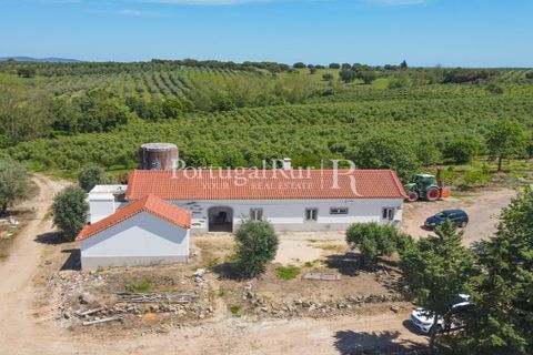 Landejendom i Fronteira, Portalegre, Fronteira - € 999.000 | Ref: FG792 - foto 6