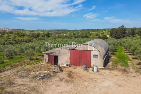 Landejendom i Fronteira, Portalegre, Fronteira - € 999.000 | Ref: FG792 - foto 7