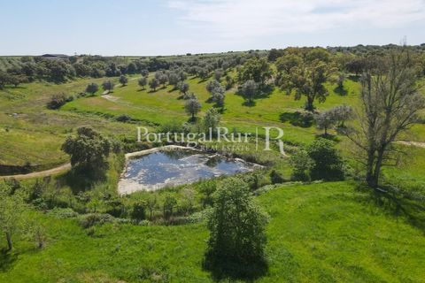 Landejendom i Fronteira, Portalegre, Fronteira - € 999.000 | Ref: FG792 - foto 15