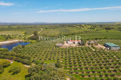 Landejendom i Fronteira, Portalegre, Fronteira - € 999.000 | Ref: FG792 - foto 1