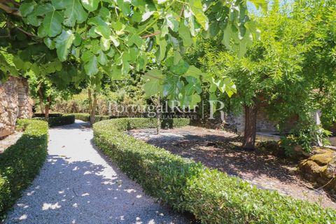 Erhvervsejendom i Almeida, Guarda, Almeida - € 420.000 | Ref: FG703 - foto 15