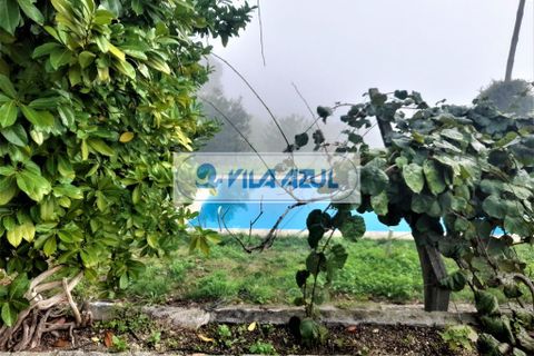 Farm i Baiao, Porto, Baiao - € 400.000 | Ref: 12605006 - foto 7
