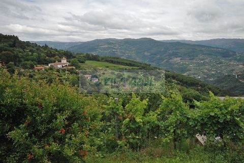 Farm i Baiao, Porto, Baiao - € 400.000 | Ref: 12605006 - foto 17