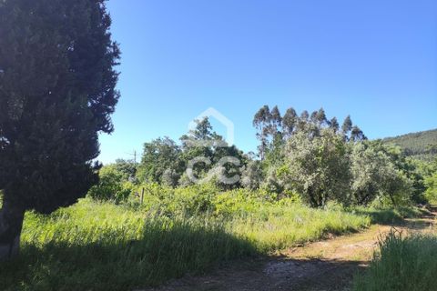 Helårsgrund i Alvaiazere, Leiria, Alvaiazere - € 30.000 | Ref: 385/T/00693 - foto 2