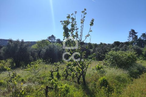 Helårsgrund i Alvaiazere, Leiria, Alvaiazere - € 30.000 | Ref: 385/T/00693 - foto 3