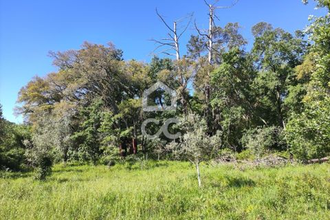 Helårsgrund i Alvaiazere, Leiria, Alvaiazere - € 30.000 | Ref: 385/T/00693 - foto 4