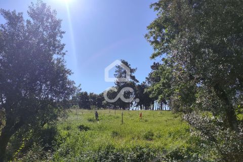 Helårsgrund i Alvaiazere, Leiria, Alvaiazere - € 30.000 | Ref: 385/T/00693 - foto 6