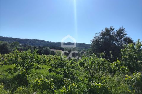 Helårsgrund i Alvaiazere, Leiria, Alvaiazere - € 30.000 | Ref: 385/T/00693 - foto 7