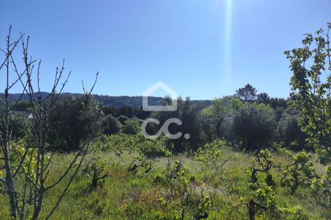 Helårsgrund i Alvaiazere, Leiria, Alvaiazere - € 30.000 | Ref: 385/T/00693 - foto 8