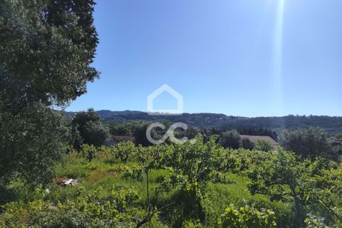 Helårsgrund i Alvaiazere, Leiria, Alvaiazere - € 30.000 | Ref: 385/T/00693 - foto 13
