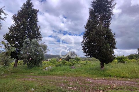 Helårsgrund i Alvaiazere, Leiria, Alvaiazere - € 30.000 | Ref: 385/T/00693 - foto 1