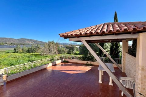 Villa i Santa Barbara de Nexe, Faro, Santa Barbara de Nexe - € 655.000 | Ref: V2778 - foto 5