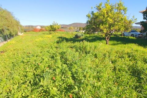 Villa i Santa Barbara de Nexe, Faro, Santa Barbara de Nexe - € 655.000 | Ref: V2778 - foto 13