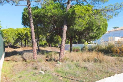 Helårsgrund i Almancil, Faro, Almancil - € 1.975.000 | Ref: t445 - foto 8