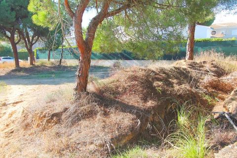 Helårsgrund i Almancil, Faro, Almancil - € 1.975.000 | Ref: t445 - foto 10