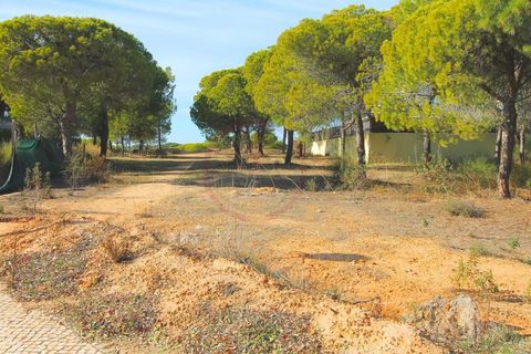 Helårsgrund i Almancil, Faro, Almancil - € 1.975.000 | Ref: t445 - foto 3