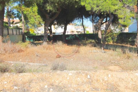 Helårsgrund i Almancil, Faro, Almancil - € 1.975.000 | Ref: t445 - foto 18