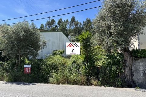 Helårsgrund i Coimbra, Coimbra, Coimbra - € 75.000 | Ref: V849PV - foto 2