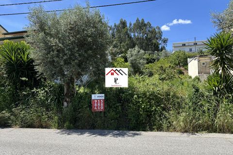 Helårsgrund i Coimbra, Coimbra, Coimbra - € 75.000 | Ref: V849PV - foto 4