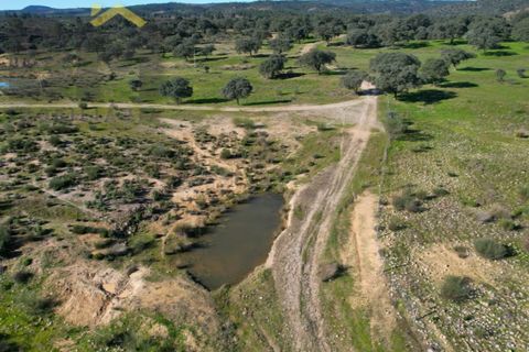 Tomt i Escalos de Baixo, Castelo Branco, Escalos de Baixo - € 190 000 | Ref: 4583 - foto 2