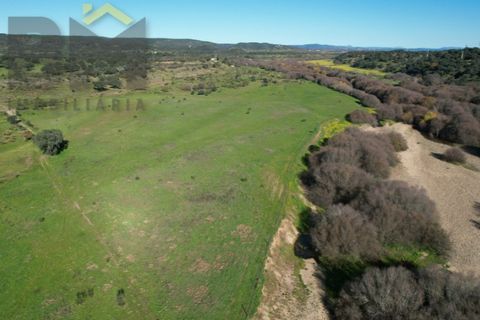 Tomt i Escalos de Baixo, Castelo Branco, Escalos de Baixo - € 190 000 | Ref: 4583 - foto 5