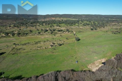 Tomt i Escalos de Baixo, Castelo Branco, Escalos de Baixo - € 190 000 | Ref: 4583 - foto 6