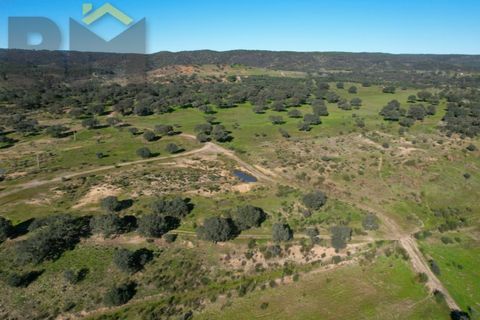 Tomt i Escalos de Baixo, Castelo Branco, Escalos de Baixo - € 190 000 | Ref: 4583 - foto 7