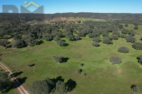 Tomt i Escalos de Baixo, Castelo Branco, Escalos de Baixo - € 190 000 | Ref: 4583 - foto 8