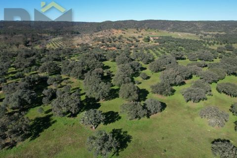 Tomt i Escalos de Baixo, Castelo Branco, Escalos de Baixo - € 190 000 | Ref: 4583 - foto 9