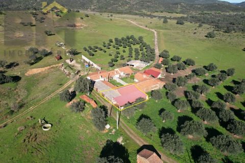 Tomt i Escalos de Baixo, Castelo Branco, Escalos de Baixo - € 190 000 | Ref: 4583 - foto 16